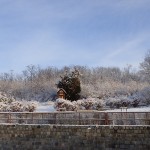 P1180141